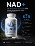 NAD+ x Anti aging
